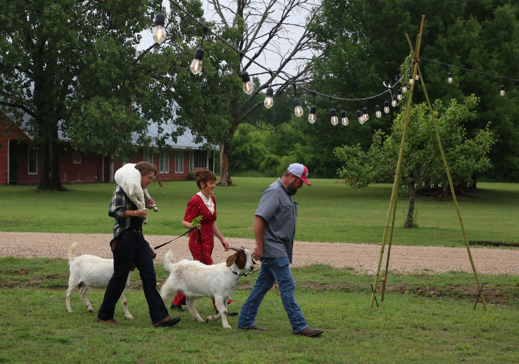 World Hunger Relief Inc -goats